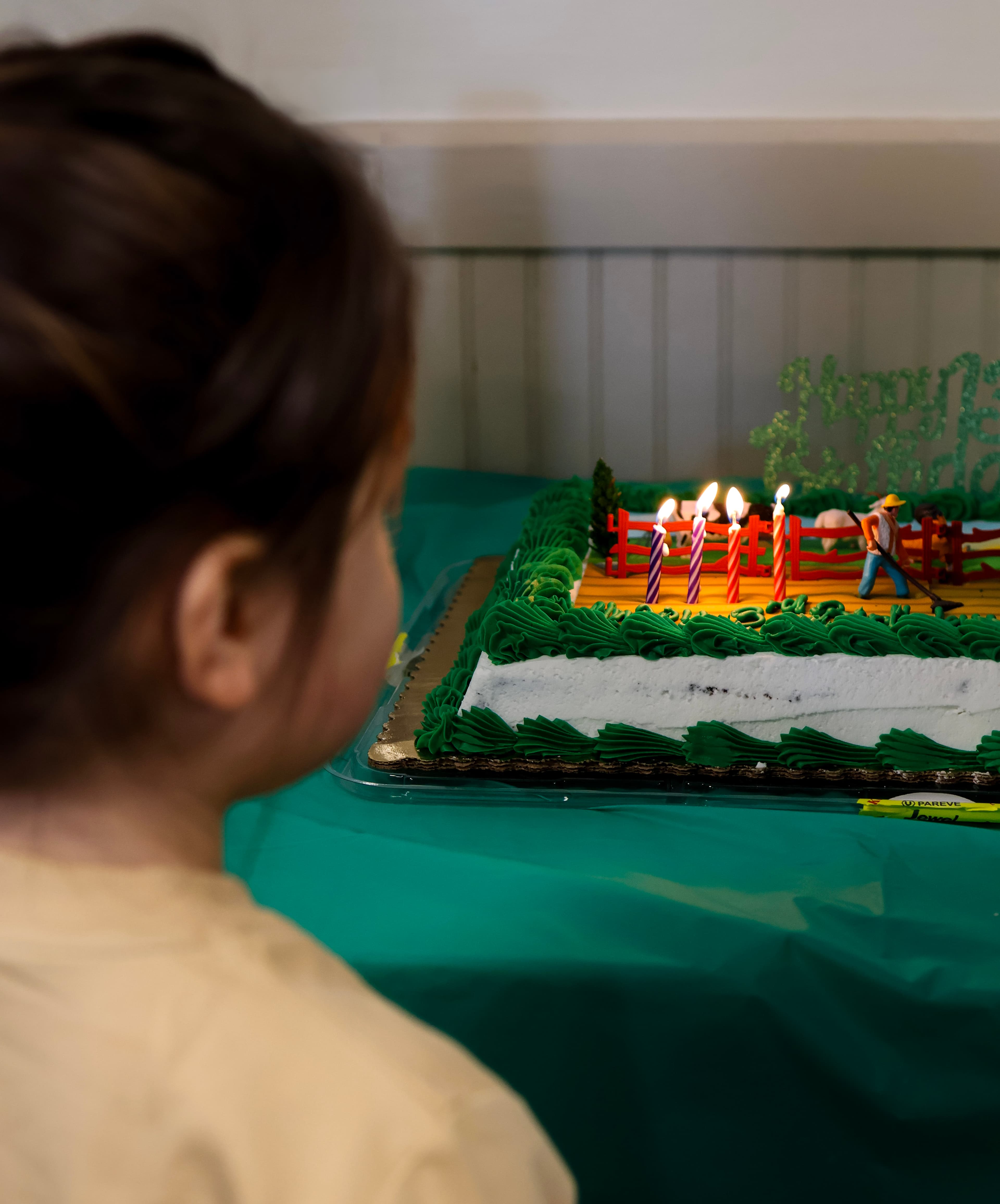 Birthday Party & First Haircut Celebration — Milestone Photography by Tovy Photography