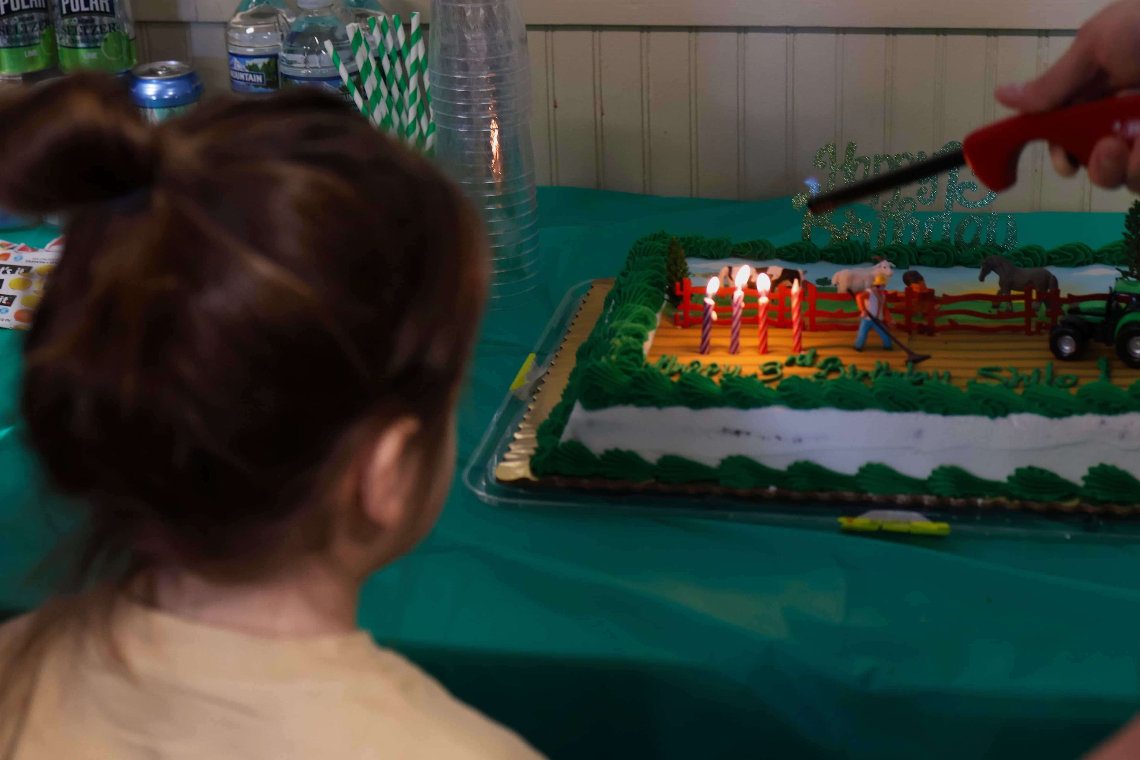 Milestone birthday photographer Chicago North Shore — birthday celebration photography