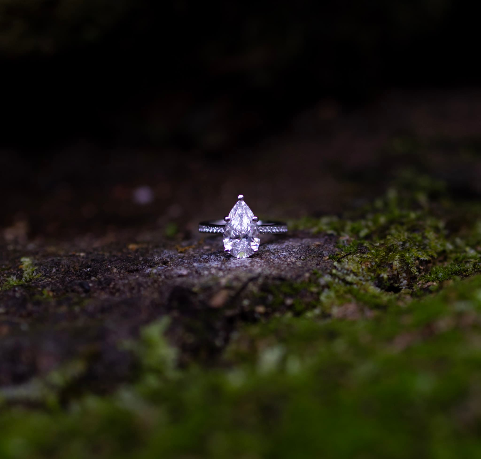 Engagement ring detail portrait on moss-covered stone at Garfield Park Conservatory