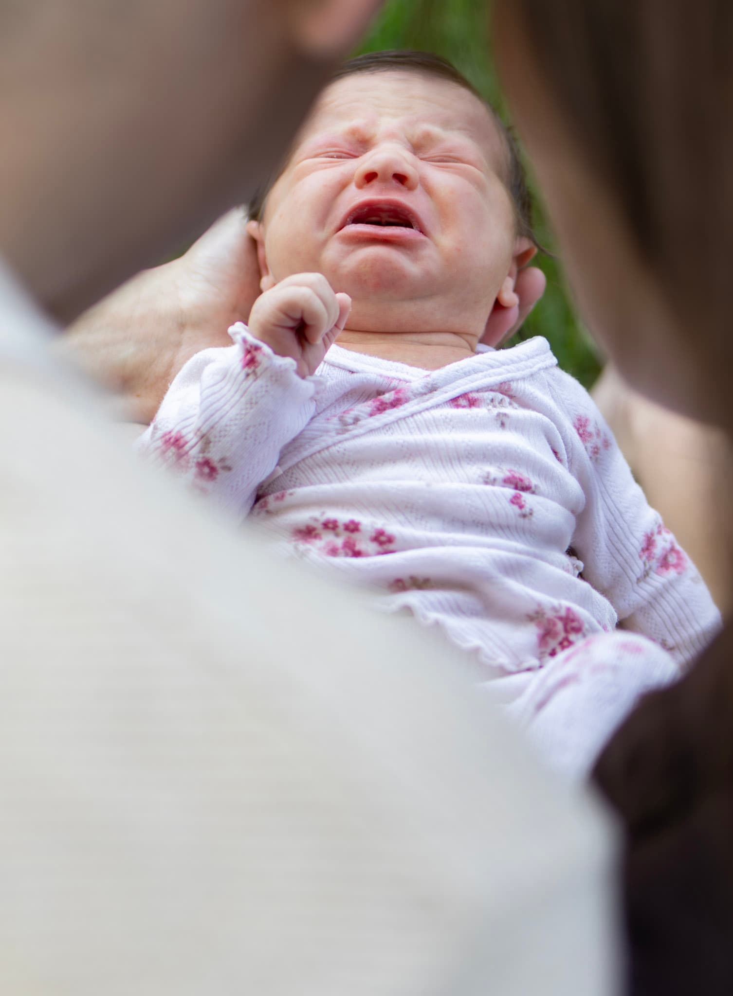 Candid outdoor newborn moment — baby girl crying in parent's arms during a summer Skokie session